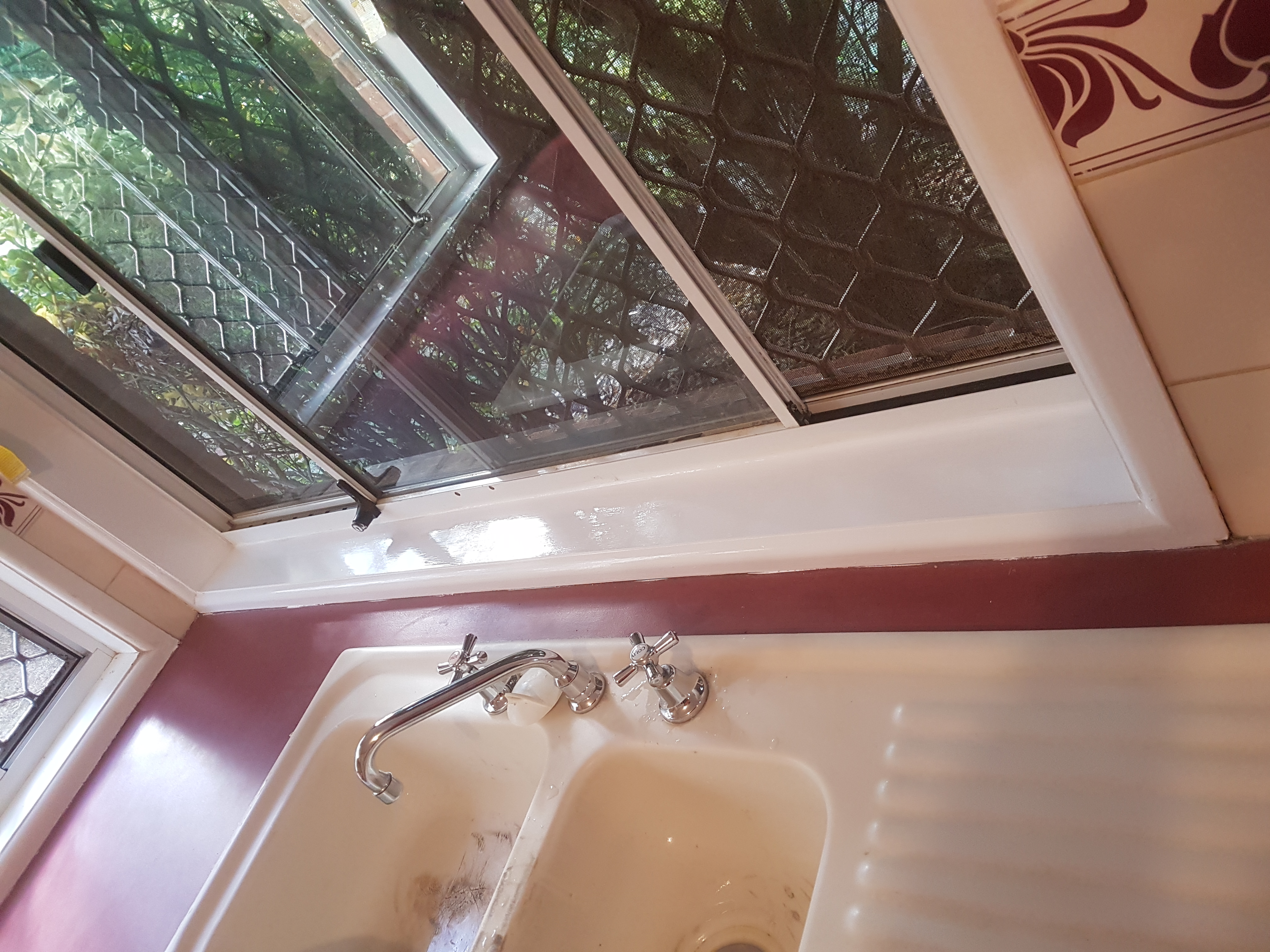 Window Repair and Repaint